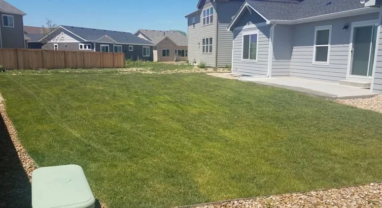 Fresh lawn installed beside a Northern Colorado home